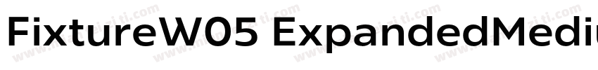FixtureW05 ExpandedMedium Regular字体转换